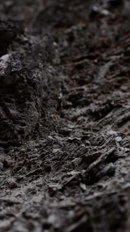 Weingut Wohlmuth Social Media Videoproduktion